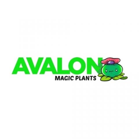 Avalon magic plants